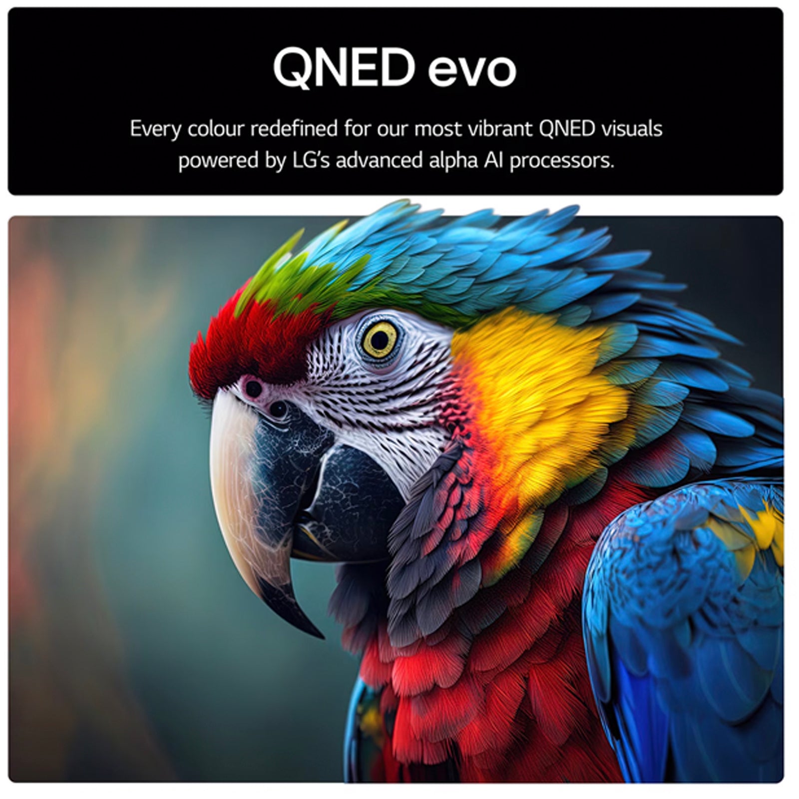 LG 75QNED85A6C 75 Inch QNED evo AI QNED85 HDR 4K Ultra HD Smart TV 2025